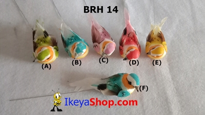 large2 BRH 14 b